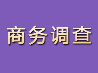 日喀则商务调查